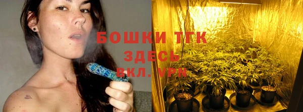 PSILOCYBIN Белокуриха