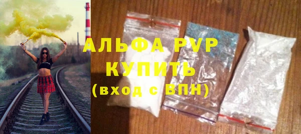 PSILOCYBIN Белокуриха
