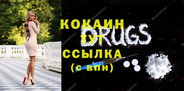 PSILOCYBIN Белокуриха