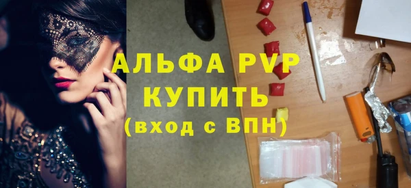 PSILOCYBIN Белокуриха