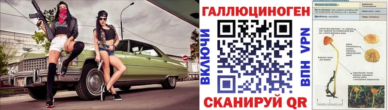 купить  цена  Оха  Галлюциногенные грибы Psilocybine cubensis 